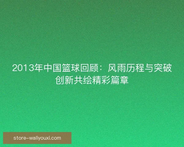 2013年中国篮球回顾：风雨历程与突破创新共绘精彩篇章