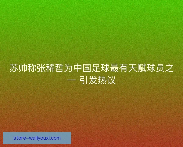 苏帅称张稀哲为中国足球最有天赋球员之一 引发热议