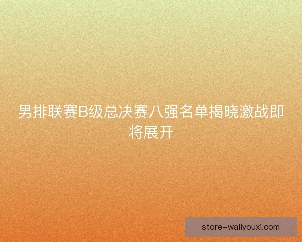 男排联赛B级总决赛八强名单揭晓激战即将展开